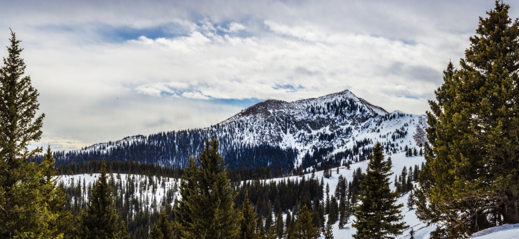 Ski Apache (summer)